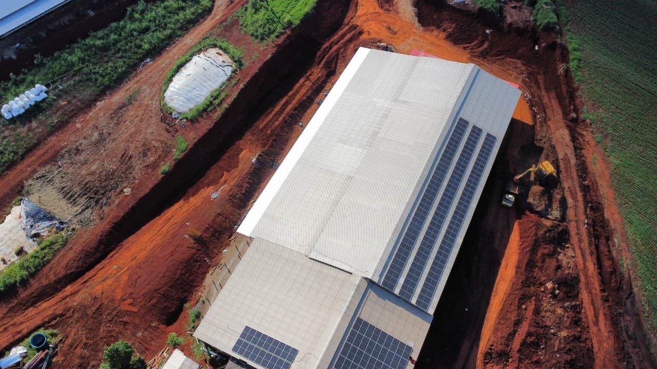 Rural